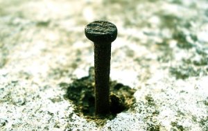 Macro shot of a nail