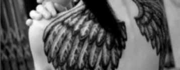 wings