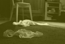 5321285866_9afaba243e_b