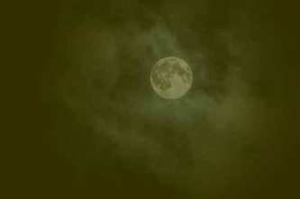 6896411619_3765ef8eac