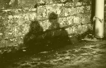 Couple__s_Shadow_by_BowmanDavid