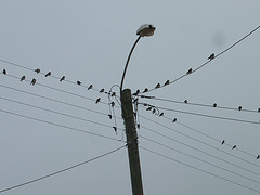 2470032681_81e46864c5_m