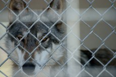 6021143472_ae6414ffec