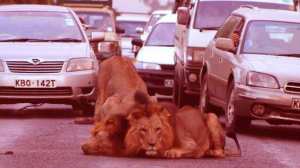 article-0-1780892F000005DC-883_634x357