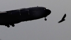 A Canadian military transport aircraft comes in to land at Britain's Royal Air Force Base in Akrotiri, Cyprus, on Saturday, Sept. 27, 2014.  Britain's Ministry of Defence said warplanes have taken off for their first combat mission over Iraq since Parliament approved airstrikes targeting the Islamic state group. The Tornado GR4 aircraft took off from RAF Akrotiri on Cyprus on Saturday, hours after Britain joined the U.S.-led coalition of nations that are launching airstrikes against the extremists. (AP Photo/Petros Karadjias)