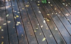 morning_after_rain_by_zombiepoppa-d3vip0b