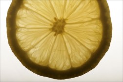 lemon-slice