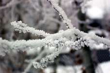 frost_108