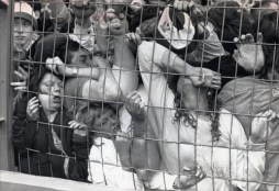 Image-A-Hillsborough-Crowd-Crush-500x344
