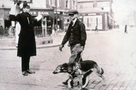 1e357d_ca35c31453244cf5ad0c98274b62a771