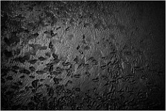 26985418282_f0cc108714_m