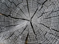 ffea522a527f4b18b3619a94d4017cd2