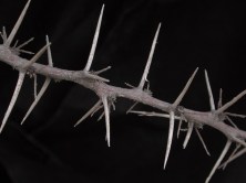 LA GÁRGOLA IMPASIBLE_ESPINAS1