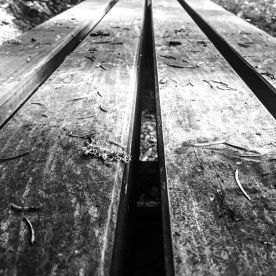 13385721_213206085740179_1762422309_n