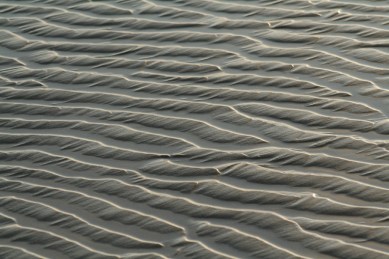 6a00e553d8274e88340120a5266b6b970b-800wi