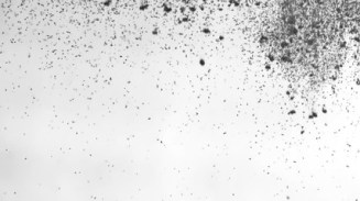 240_f_108494609_xktv3qgylplda6eyjbfd9lu2iqfvlqcz