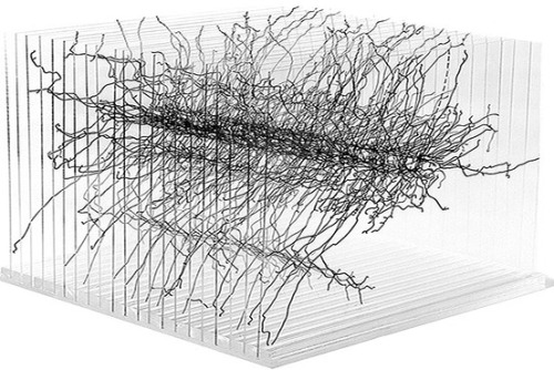 tumblr_m77tfmbhj71run5glo1_500