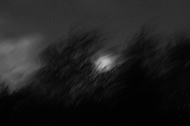 5101154071_25eb8db77f