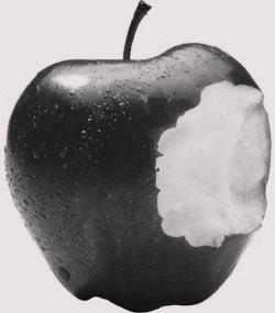 apple_bite_b_w-2