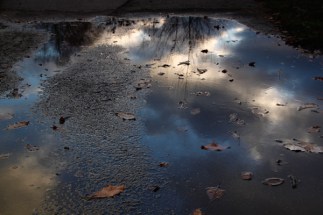 McEnaney-puddle-sunset.jpg