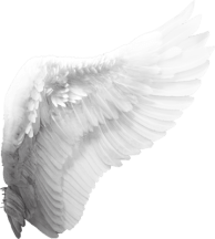 19103079b599cb0bf7e0828191d8bc9b