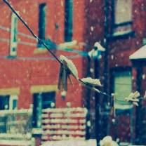 17309304_10212577493015304_6677721734440838077_n