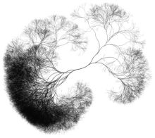 9cf727aff18d970e7f40a8d8f26f8d42