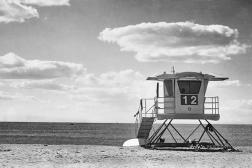 Number_12_BW_web_grande