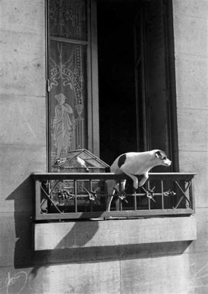 6af4a36523bab3e24fb182674cb178b4