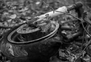 33472139816_4b85eb86ef_b