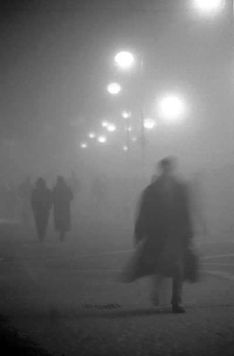b087c23a0a7fdcaacb612dddfe900074--fog-photography-the-fog