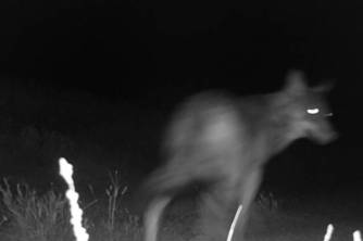 _imagenesimg0065bc91d84b_94d4f8d1