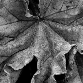 15009749618_d8e54b94b9