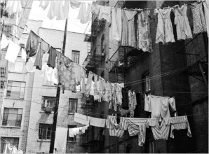 76989ef76b752a967e489cdb384383ec