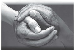 AE_Stren_English 2017