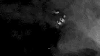 CarefreeFluffyBellsnake