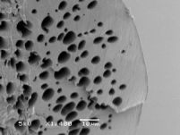 leaky-optic-fiber-with-holes