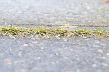 10deb584-cd78-4939-8d03-da50e8b6db00