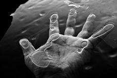 b0770d632aa742fb031829dbf8ca55c6