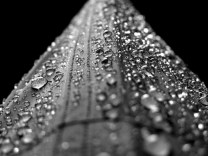 water__drops__droplets__rain__liquid__bubble__splash